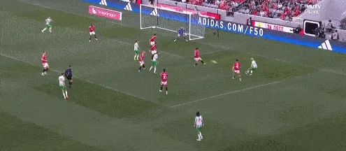 1722492323663143.gif 2.gif