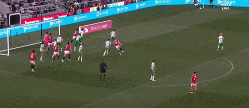 1722492336380258.gif 5.gif