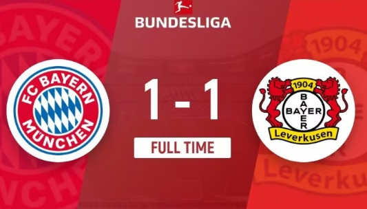 德甲-拜仁1-1药厂，安德里希破门，帕夫天外飞仙