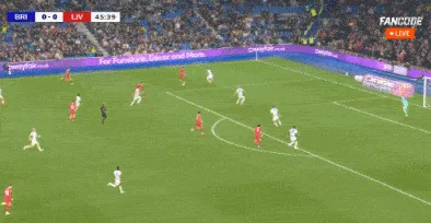 1730338981175872.gif 2.gif