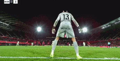 1733255866573562.gif 4.gif