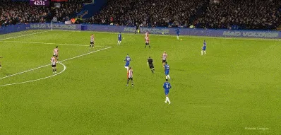 1734297002157946.gif 2.gif