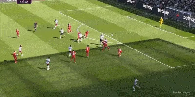 1743954515414069.gif 5.gif